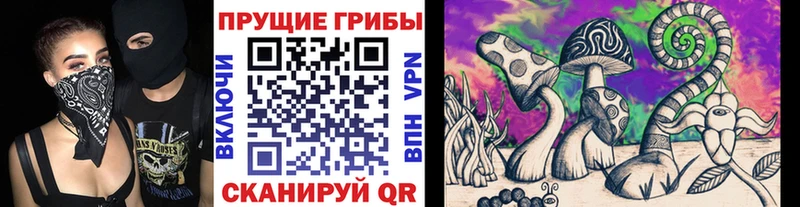 Галлюциногенные грибы Psilocybe  Мышкин 